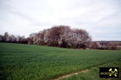 Eisensteingrube Atzenhain-Nord, Gemeinde Mücke, Vogelsberg, Hessen (D) (1) 22. April 2016.JPG